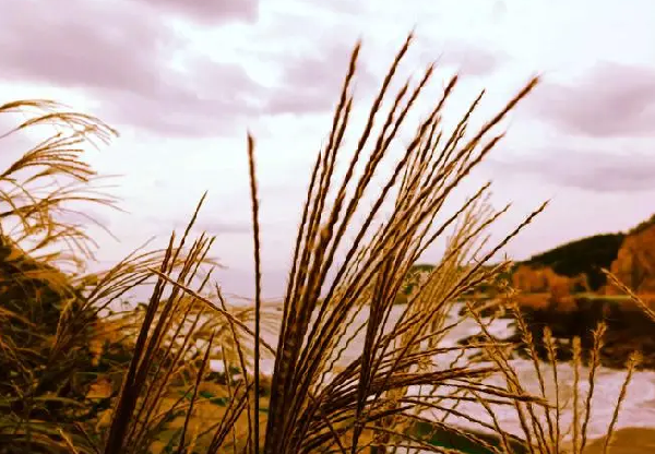 精密模具加工 精密模具加工